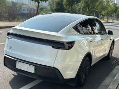 Tesla Model Y Rear-Wheel Drive - фото 6