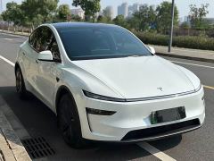 Tesla Model Y Rear-Wheel Drive - фото 7