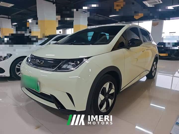 BYD Dolphin Smart Drive 420km Freedom Edition - ავტომობილი ჩინეთიდან