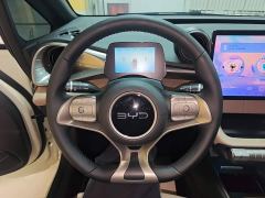 BYD Dolphin Smart Drive 420km Freedom Edition - ფოტო 10