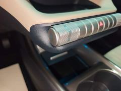 BYD Dolphin Smart Drive 420km Freedom Edition - ფოტო 13