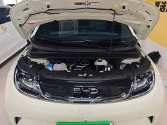 BYD Dolphin Smart Drive 420km Freedom Edition - ფოტო 19