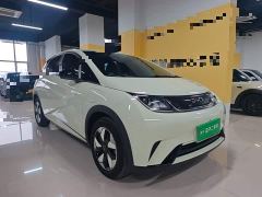 BYD Dolphin Smart Drive 420km Freedom Edition - ფოტო 3