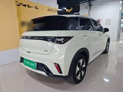 BYD Dolphin Smart Drive 420km Freedom Edition - ფოტო 6