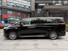 Great Wall WEY Shanshan New Energy Four-Wheel Drive Executive Extended Version - фото 3