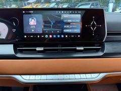 Great Wall WEY Shanshan New Energy Four-Wheel Drive Executive Extended Version - фото 9