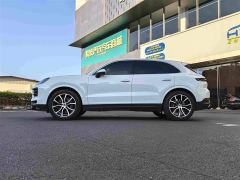 Porsche Cayenne 3.0T - ფოტო 14