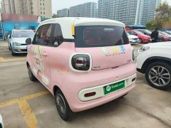 FAW Besturn Xiaoma 170km Vitality Edition - photo 4