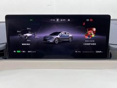 Luxeed Zhiji S7 Max - ფოტო 20