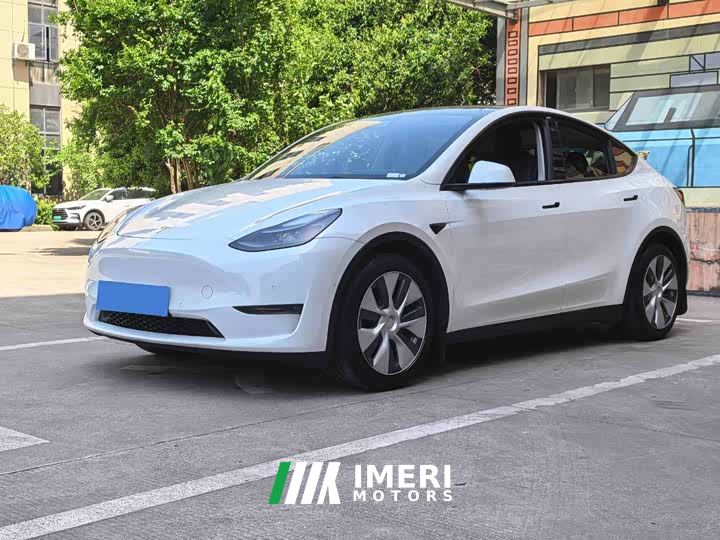 Tesla Model Y Standard Range RWD - автомобиль из Китая