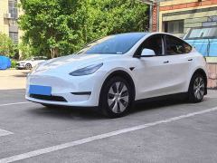Tesla Model Y Standard Range RWD - фото 1