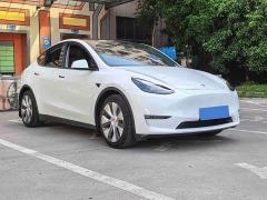 Tesla Model Y Standard Range RWD - фото 3