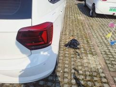 Volkswagen Polo Plus 1.5L Automatic Colorful Tech Edition - ფოტო 7