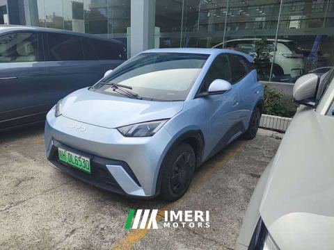 2024 BYD Seagull 305km Vitality Edition - car from China