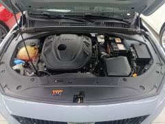 Geely Xingrui 2.0T Diesel Spacetime Edition Starlight - ფოტო 19