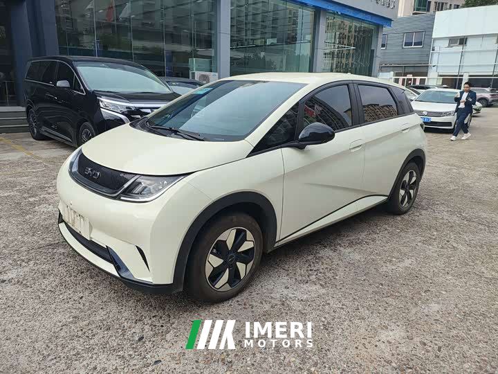 BYD Dolphin 420km Freedom Edition - ავტომობილი ჩინეთიდან