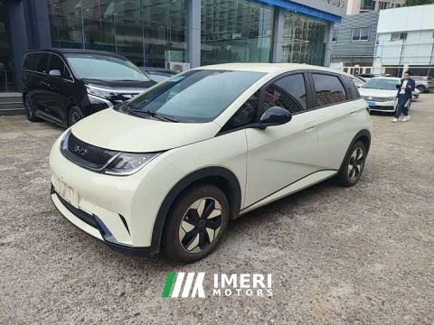 2025 BYD Dolphin 420km Freedom Edition - ავტომობილი ჩინეთიდან
