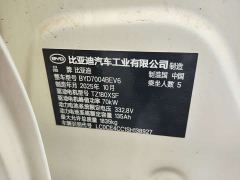 BYD Dolphin 420km Freedom Edition - ფოტო 13