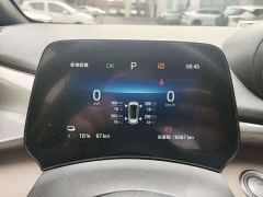 BYD Dolphin 420km Freedom Edition - ფოტო 3