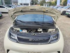 BYD Dolphin 420km Freedom Edition - ფოტო 7