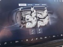 Denza D9 DM-i 980 Four-Wheel Drive Premium - фото 13