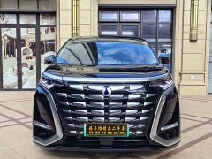 Denza D9 DM-i 980 Four-Wheel Drive Premium - фото 2