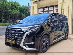 Denza D9 DM-i 980 Four-Wheel Drive Premium - фото 3