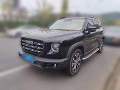 Great Wall Dachshund Facelift 1.5T DCT Two-Wheel Drive Malinois Edition - фото 1