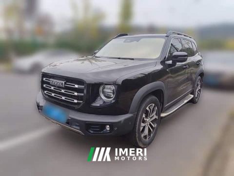 2021 Great Wall Dachshund Facelift 1.5T DCT Two-Wheel Drive Malinois Edition - автомобиль из Китая