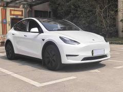 Tesla Model Y Rear-Wheel Drive - ფოტო 3