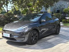Tesla Model Y Rear-Wheel Drive - ფოტო 1