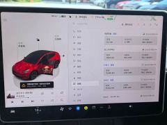 Tesla Model Y Rear-Wheel Drive - ფოტო 13