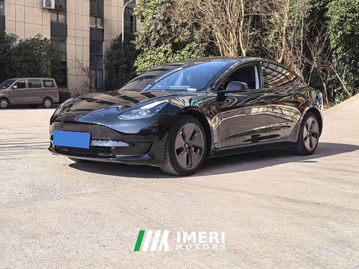 Tesla Model 3 Rear-Wheel Drive - car from China