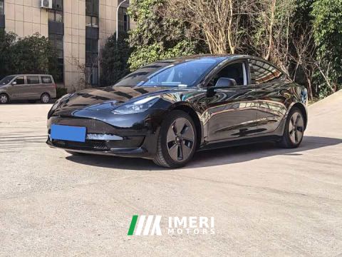 2022 Tesla Model 3 Rear-Wheel Drive - ავტომობილი ჩინეთიდან