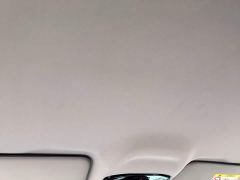 Geely Galaxy Starlight 6 125km Extended Range Edition - ფოტო 17