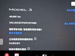 Tesla Model 3 Rear-Wheel Drive - ფოტო 15
