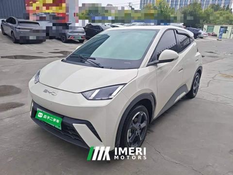 2024 BYD Seagull Freedom Edition - автомобиль из Китая