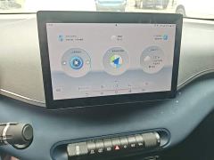 BYD Seagull Freedom Edition - ფოტო 12
