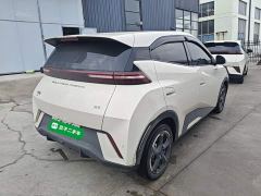 BYD Seagull Freedom Edition - ფოტო 6