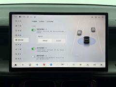 Leapmotor Leapo Lafa5 515 Max - photo 10