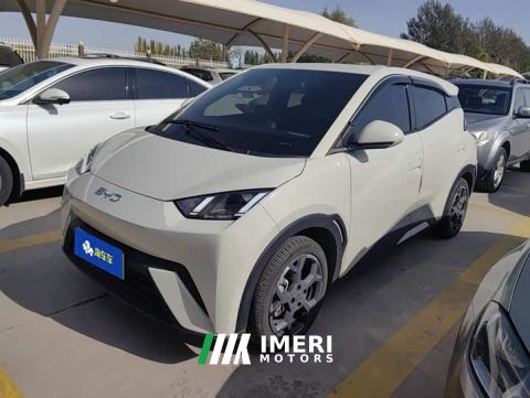 2025 BYD Seagull 305km Freedom Edition - автомобиль из Китая