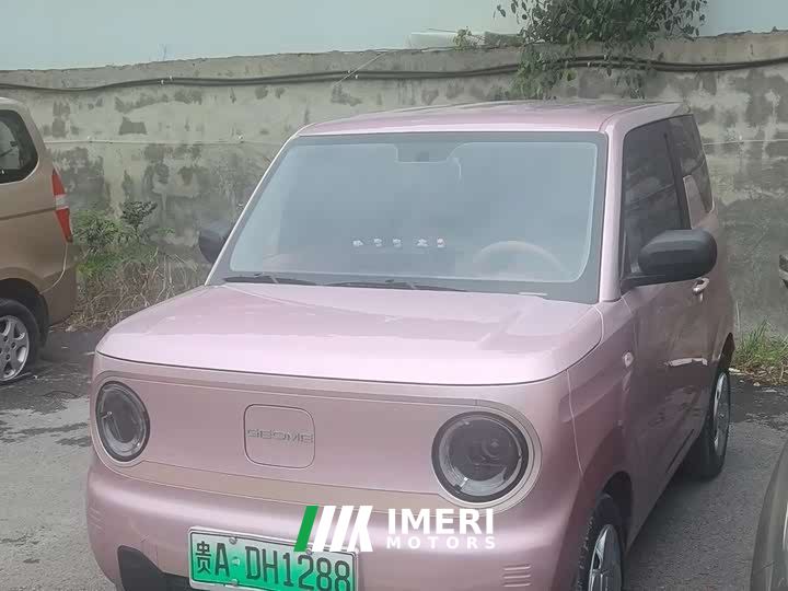 Geely Panda Mini 200km Endurance Edition - ავტომობილი ჩინეთიდან