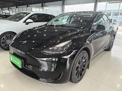 Tesla Model Y Rear-Wheel Drive - фото 1