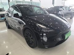 Tesla Model Y Rear-Wheel Drive - фото 3