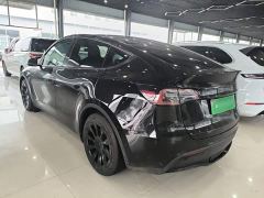 Tesla Model Y Rear-Wheel Drive - фото 4