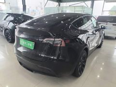 Tesla Model Y Rear-Wheel Drive - фото 6