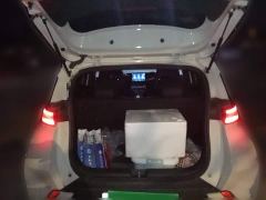 BYD Seagull Flying Edition - photo 15