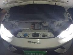 BYD Seagull Flying Edition - photo 16