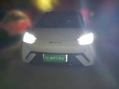 BYD Seagull Flying Edition - photo 2