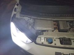 BYD Seagull Flying Edition - photo 20